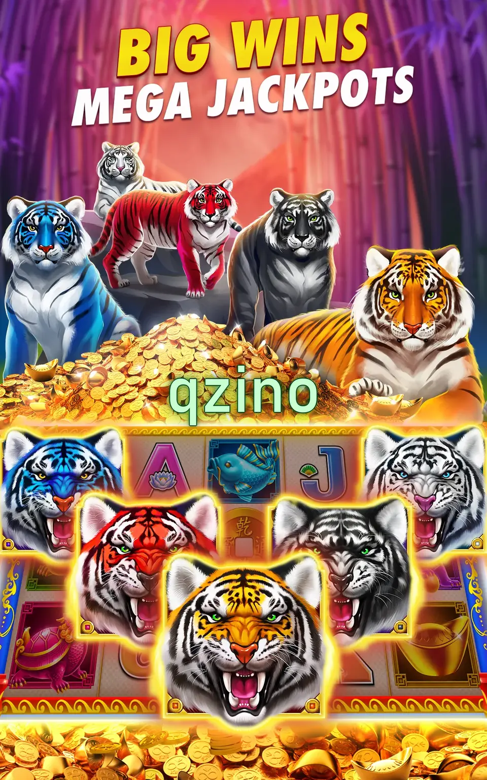 qzino Baixar